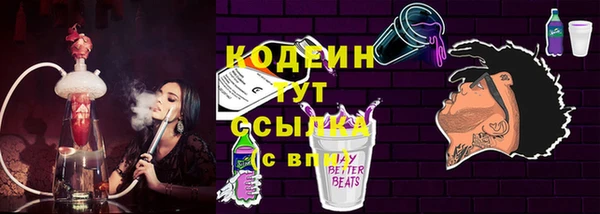 тгк Пересвет