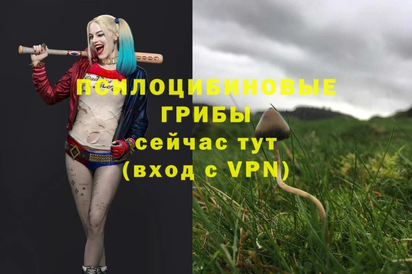 тгк Пересвет