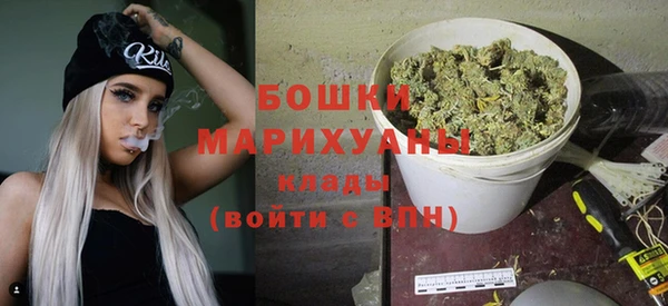 тгк Пересвет